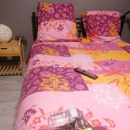Chambres Dans Maison Familiale Saint-Girons  Kültér fotó